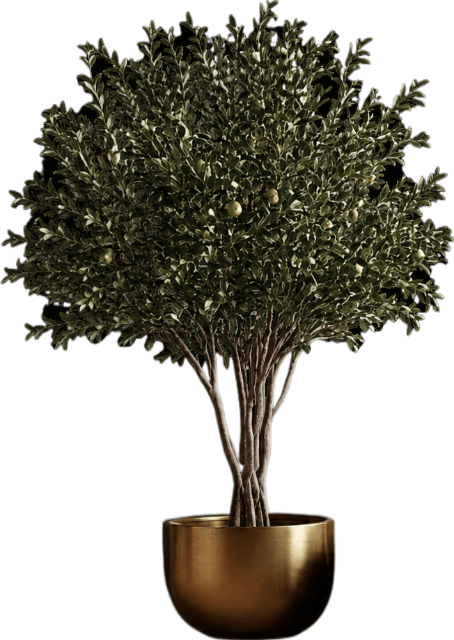 Plant Left